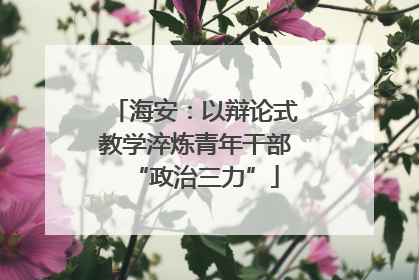 海安：以辩论式教学淬炼青年干部“政治三力”