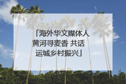 海外华文媒体人黄河寻麦香 共话运城乡村振兴