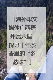海外华文媒体广西梧州品六堡 探寻千年茶香里的“乡愁味”