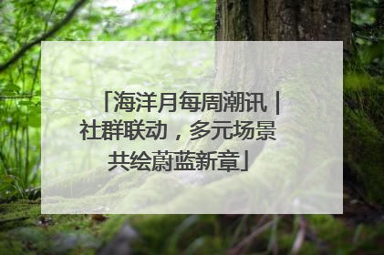 海洋月每周潮讯｜社群联动，多元场景共绘蔚蓝新章