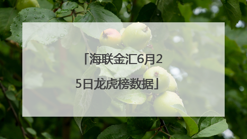 海联金汇6月25日龙虎榜数据