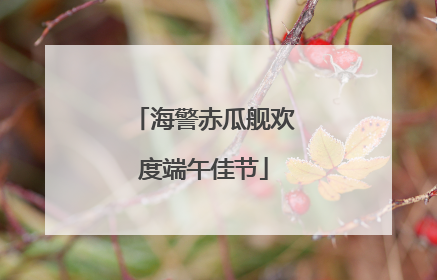 海警赤瓜舰欢度端午佳节