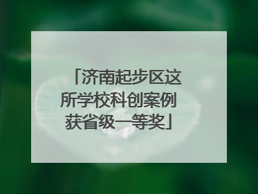 济南起步区这所学校科创案例获省级一等奖