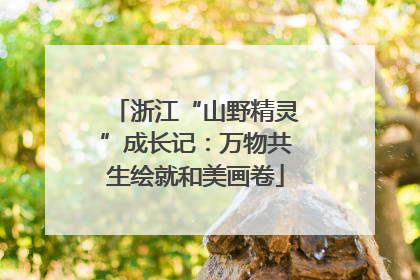 浙江“山野精灵”成长记：万物共生绘就和美画卷