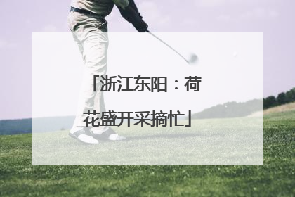 浙江东阳：荷花盛开采摘忙