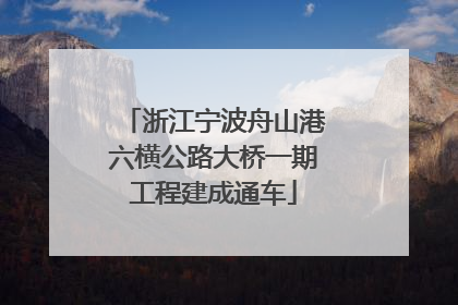 浙江宁波舟山港六横公路大桥一期工程建成通车