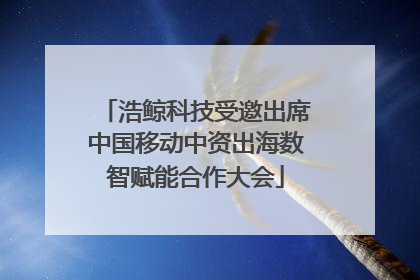 浩鲸科技受邀出席中国移动中资出海数智赋能合作大会