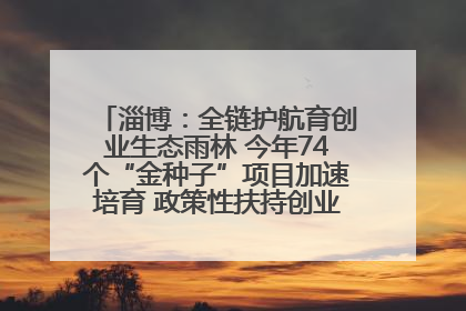 淄博：全链护航育创业生态雨林 今年74个“金种子”项目加速培育 政策性扶持创业9754人