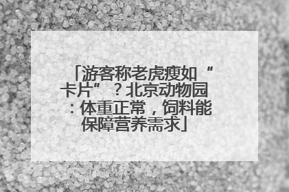 游客称老虎瘦如“卡片”？北京动物园：体重正常，饲料能保障营养需求