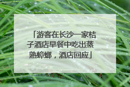 游客在长沙一家桔子酒店早餐中吃出蒸熟蟑螂，酒店回应