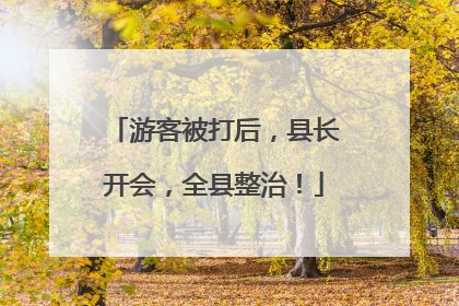 游客被打后，县长开会，全县整治！
