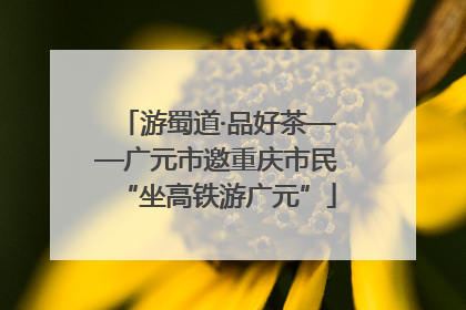 游蜀道·品好茶——广元市邀重庆市民“坐高铁游广元”