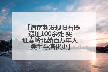 渭南新发现旧石器遗址100余处 实证秦岭北麓百万年人类生存演化史