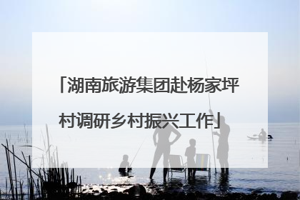 湖南旅游集团赴杨家坪村调研乡村振兴工作