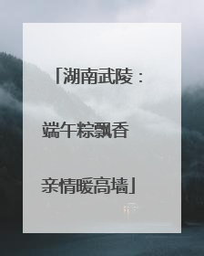 湖南武陵：端午粽飘香 亲情暖高墙