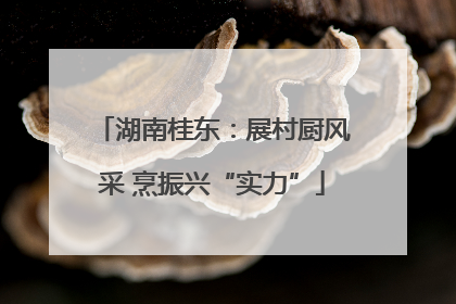 湖南桂东：展村厨风采 烹振兴“实力”