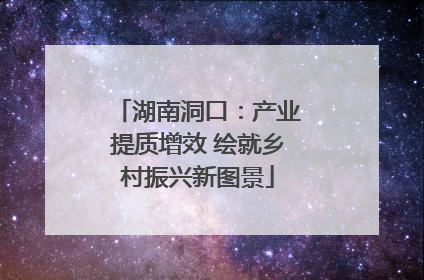 湖南洞口：产业提质增效 绘就乡村振兴新图景