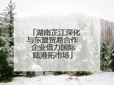 湖南芷江深化与东盟贸易合作 企业借力国际陆港拓市场