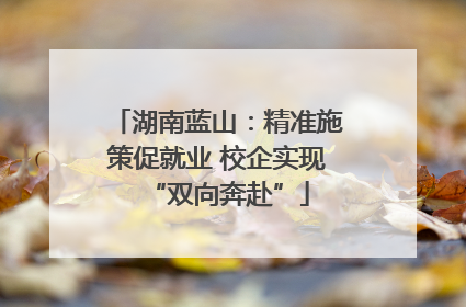 湖南蓝山：精准施策促就业 校企实现“双向奔赴”