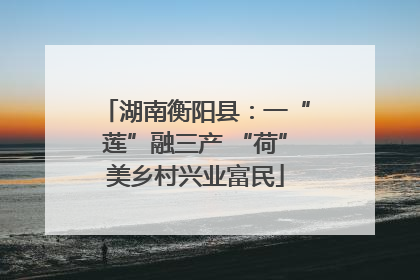 湖南衡阳县：一“莲”融三产 “荷”美乡村兴业富民