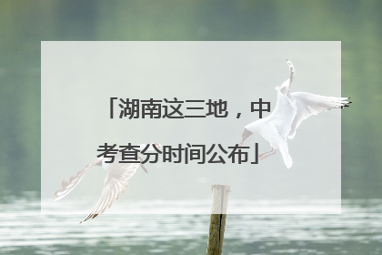 湖南这三地，中考查分时间公布