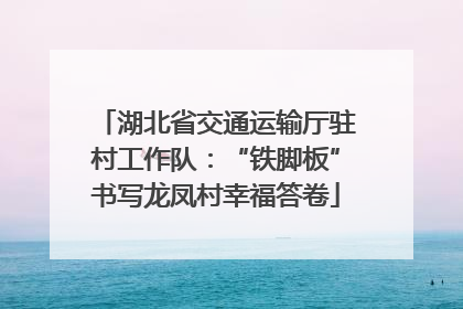 湖北省交通运输厅驻村工作队：“铁脚板”书写龙凤村幸福答卷