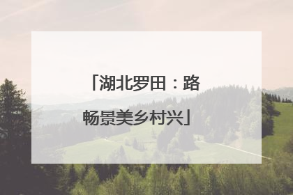 湖北罗田：路畅景美乡村兴