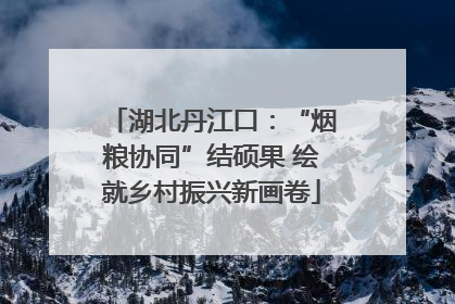 湖北丹江口：“烟粮协同”结硕果 绘就乡村振兴新画卷