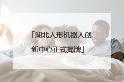 湖北人形机器人创新中心正式揭牌