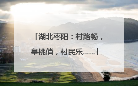 湖北枣阳：村路畅，皇桃俏，村民乐……