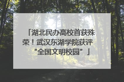 湖北民办高校首获殊荣！武汉东湖学院获评“全国文明校园”