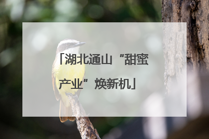 湖北通山“甜蜜产业”焕新机