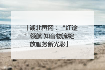 湖北黄冈：“红途”领航 知音物流绽放服务新光彩