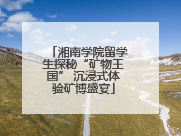 湘南学院留学生探秘“矿物王国” 沉浸式体验矿博盛宴