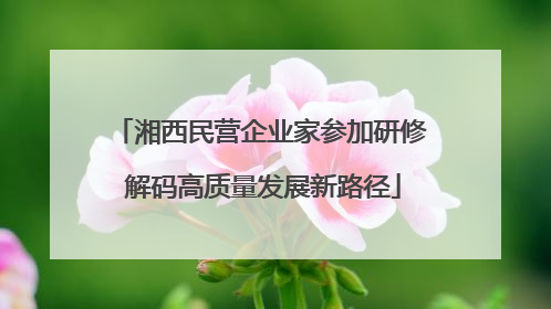 湘西民营企业家参加研修 解码高质量发展新路径