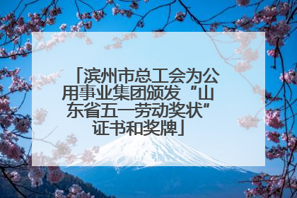 滨州市总工会为公用事业集团颁发“山东省五一劳动奖状”证书和奖牌