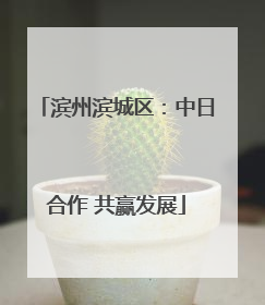 滨州滨城区：中日合作 共赢发展