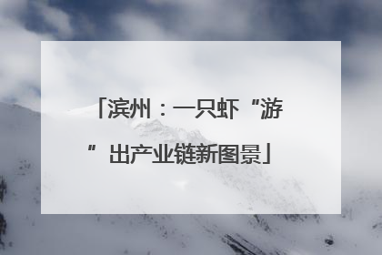 滨州：一只虾“游”出产业链新图景