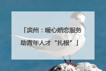 滨州：暖心婚恋服务助青年人才“扎根”