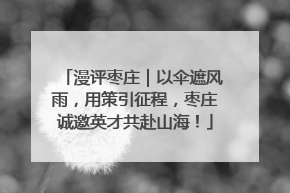 漫评枣庄｜以伞遮风雨，用策引征程，枣庄诚邀英才共赴山海！