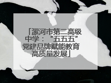 漯河市第二高级中学：“五五五”党建品牌赋能教育高质量发展