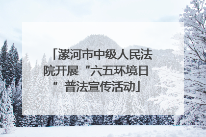 漯河市中级人民法院开展“六五环境日”普法宣传活动