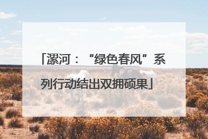 漯河：“绿色春风”系列行动结出双拥硕果