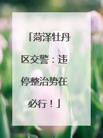 菏泽牡丹区交警：违停整治势在必行！