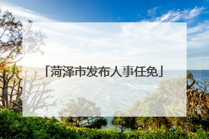 菏泽市发布人事任免