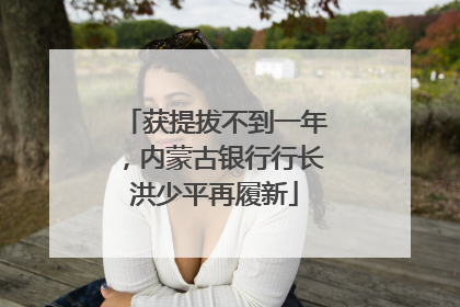 获提拔不到一年，内蒙古银行行长洪少平再履新