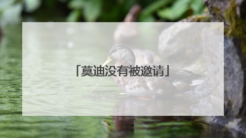 莫迪没有被邀请