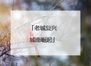 老城复兴 城南崛起