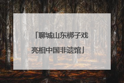 聊城山东梆子戏亮相中国非遗馆