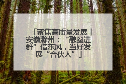 聚焦高质量发展丨安徽滁州：“融圈进群”借东风，当好发展“合伙人”